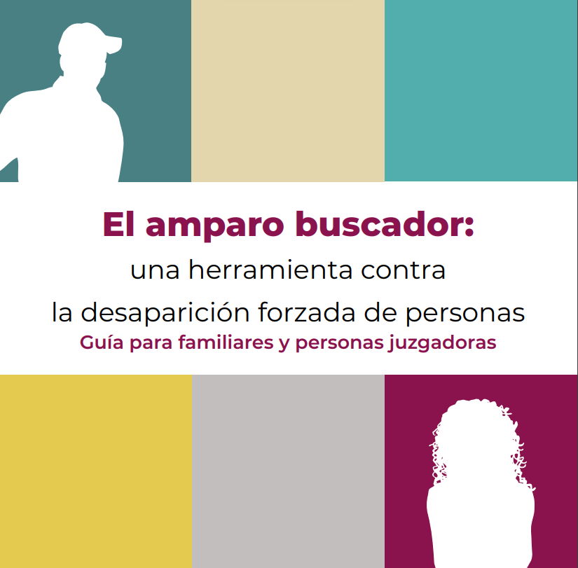 Imagen de Guía - El amparo buscador:una herramienta contra la desaparición forzada de personas